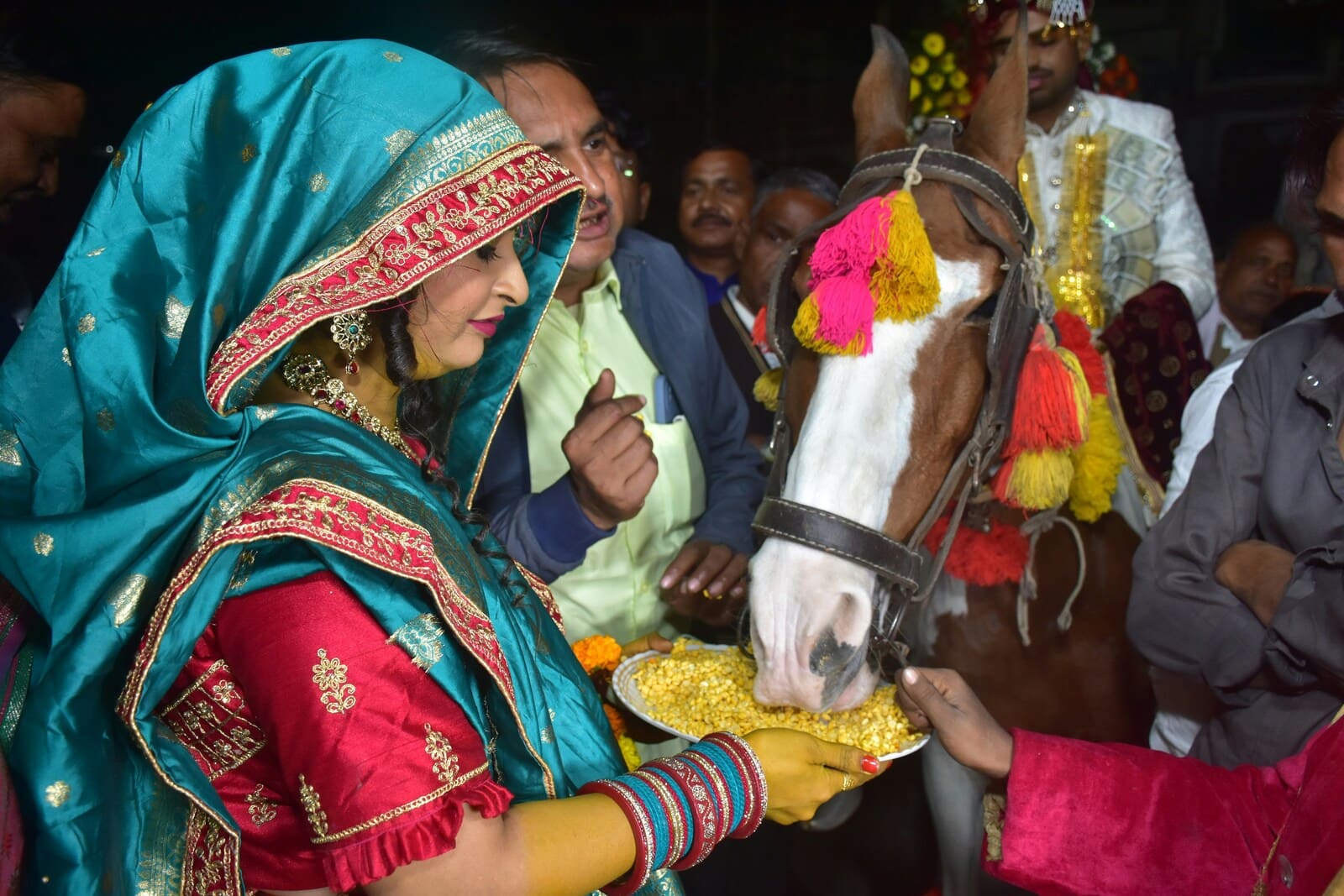 Dulhe ki ghodi with groom at traditional baraat celebration
